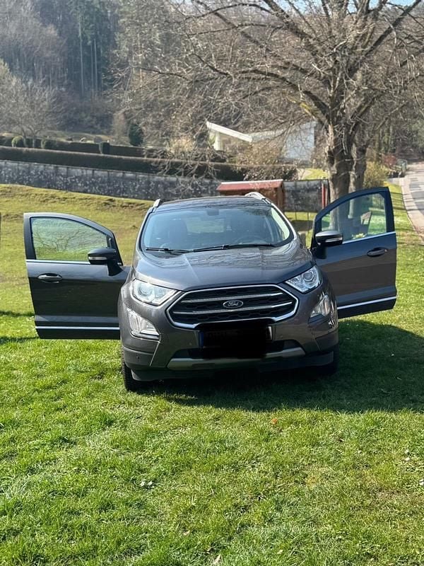 Gebraucht Ford Ecosport Titanium 125 PS (91 kW) 2019 Grau SUV