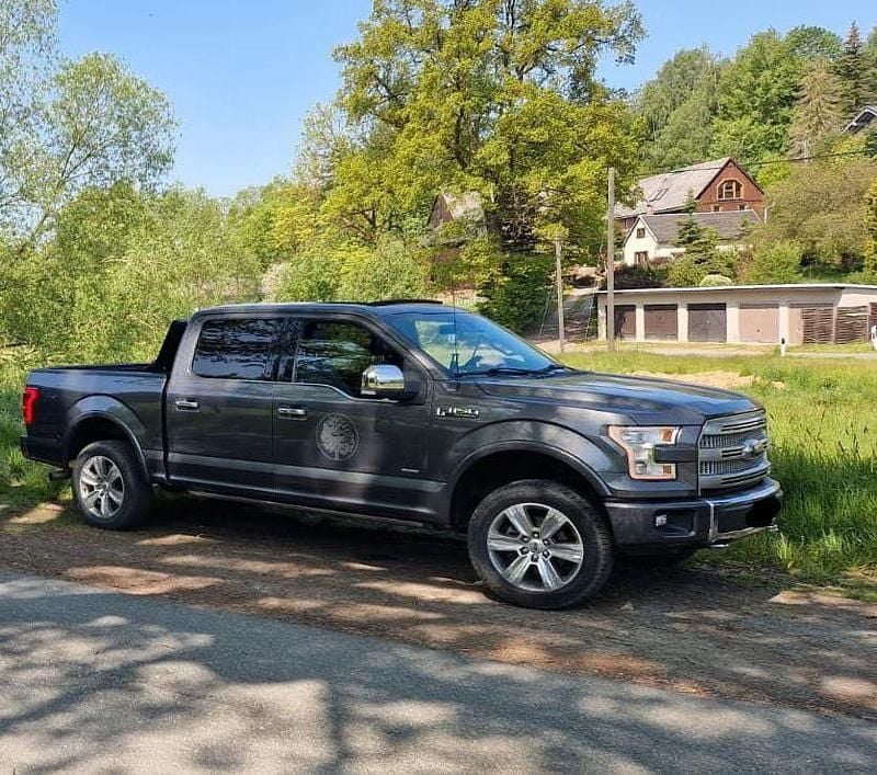 Grau Gebraucht 2014 Ford F-150 Platinum Abholung | 27.950 € (Fairer Preis) - Bild 1/2