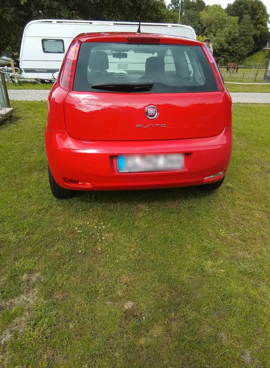Gebraucht Fiat Punto 64 PS (47 kW) 2026 Rot Kleinwagen