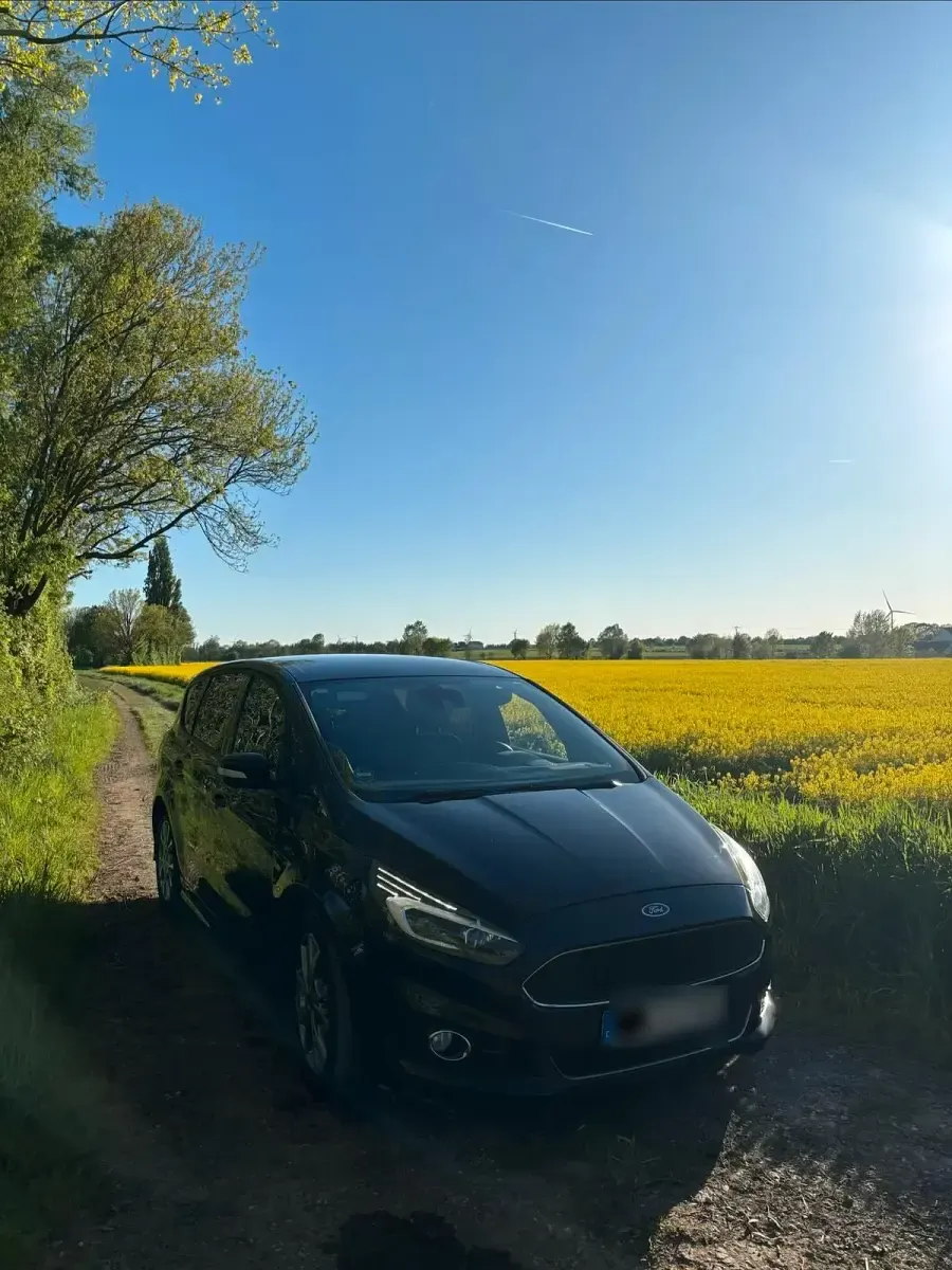 Gebraucht Ford S-MAX ST 240 PS (176 kW) 2018 Schwarz Van / Kleinbus