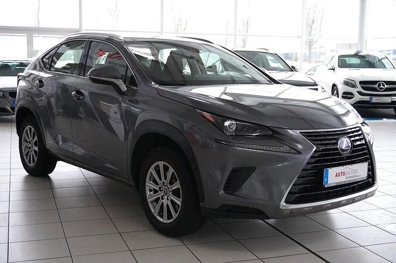 Gebraucht Lexus NX300h 197 PS (144 kW) 2020 Grau SUV