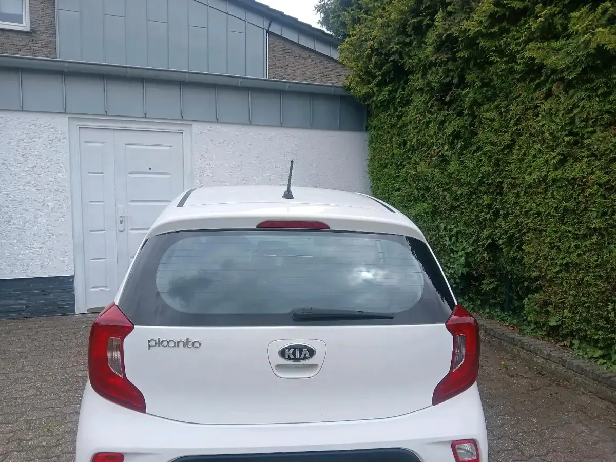 Gebraucht Kia Picanto 64 PS (47 kW) 2017 Weiß Kleinwagen