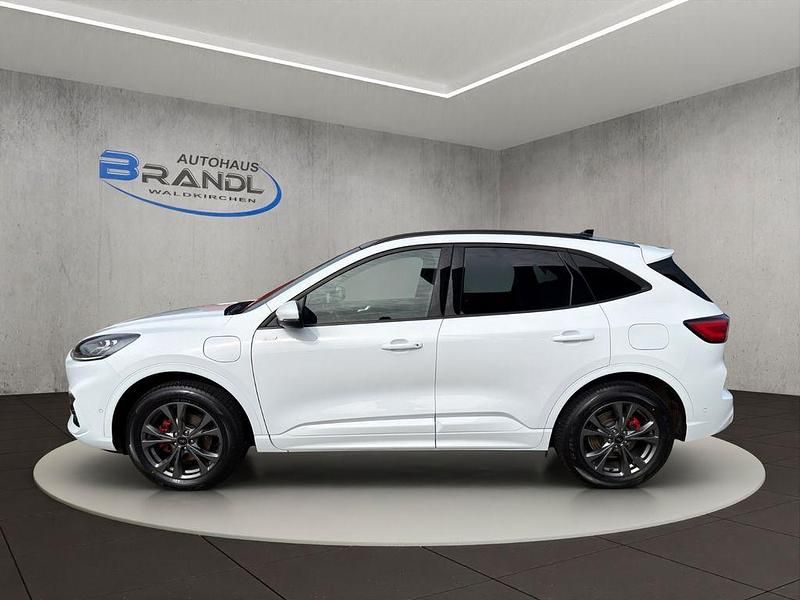 Gebraucht Ford Kuga ST-Line X 224 PS (164 kW) 2021 Weiß SUV