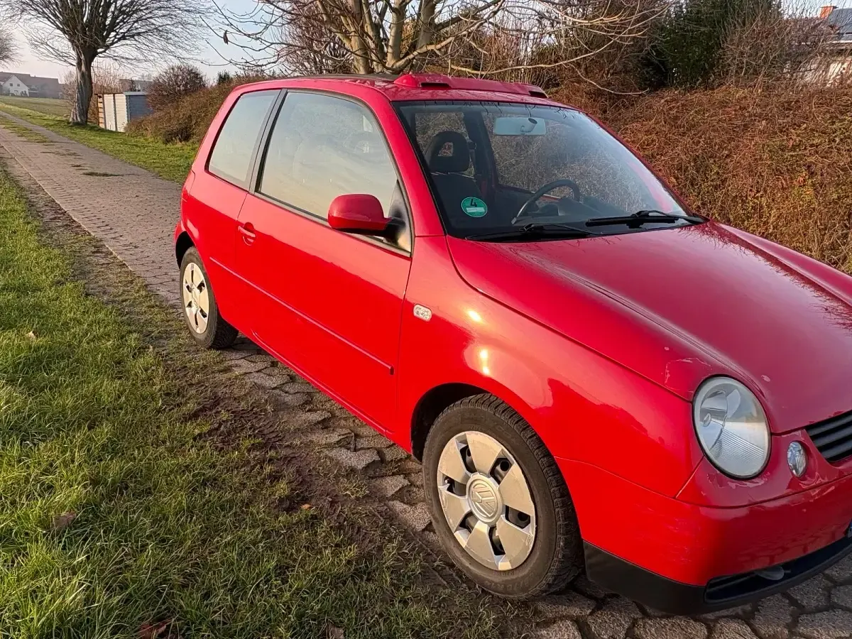 Brugt VW Lupo 50 HK (36 kW) 2002 Rød Hatchback
