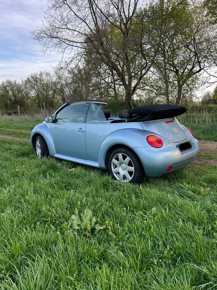 Gebraucht VW New Beetle Cabriolet 102 PS (75 kW) 2004 Cabrio