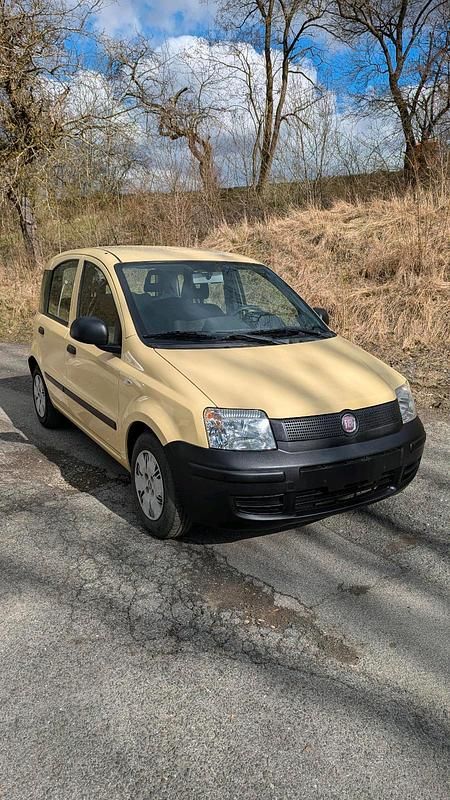 Gebraucht Fiat Panda Active 54 PS (39 kW) 2009 Beige Kleinwagen