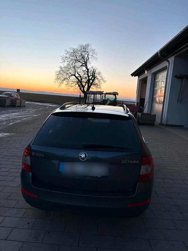 Gebraucht Skoda Octavia 110 PS (80 kW) 2015 Grau Kleinwagen