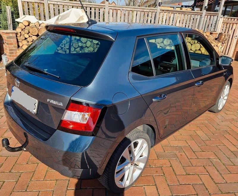 Gebraucht Skoda Fabia Drive 110 PS (80 kW) 2018 Grau Kleinwagen