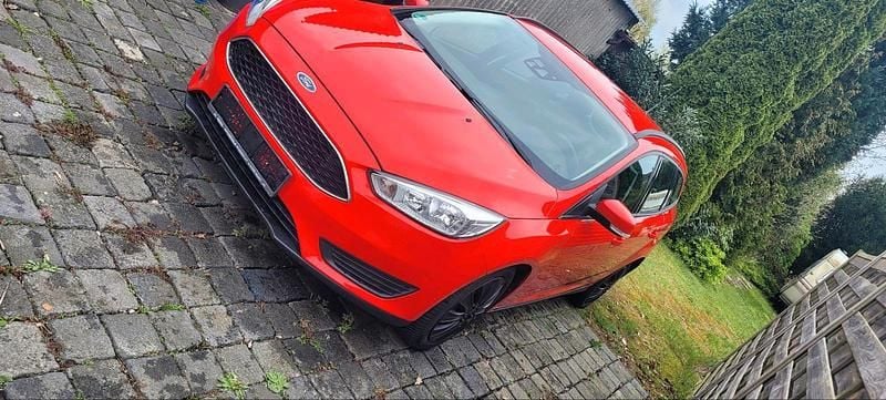 Usata Ford Focus 125 CV (91 kW) 2016 Rosso Station wagon