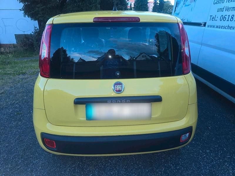 Gebraucht Fiat Panda 69 PS (50 kW) 2020 Gelb Kleinwagen