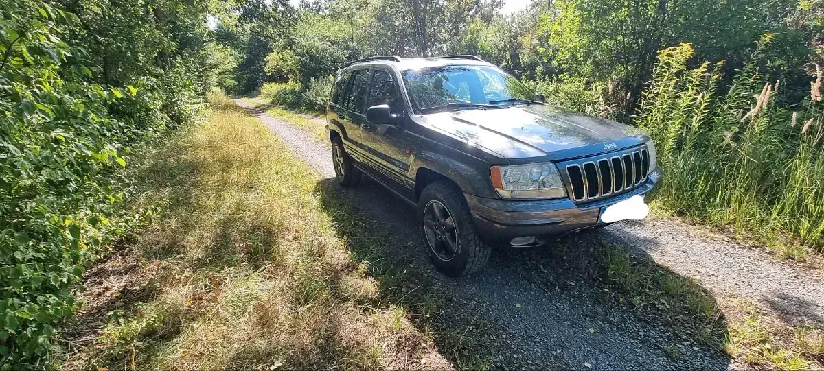 Gebraucht Jeep Grand Cherokee 225 PS (165 kW) 2003 Grau SUV