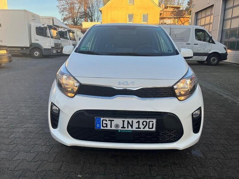Gebraucht Kia Picanto Vision 67 PS (49 kW) 2024 Weiß Kleinwagen