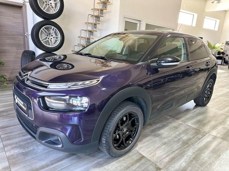 Violett Gebraucht 2019 Citroën C4 Shine SUV | 6.500 € (Superpreis) - Bild 1/4