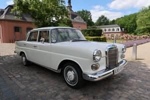 Gebraucht Mercedes 200 55 PS (40 kW) 1966 Weiß Limousine