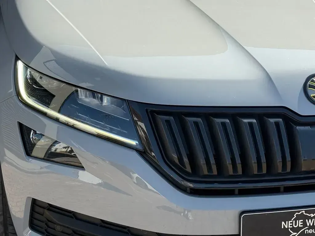Gebraucht Skoda Kodiaq Ambition 190 PS (139 kW) 2019 Grau SUV