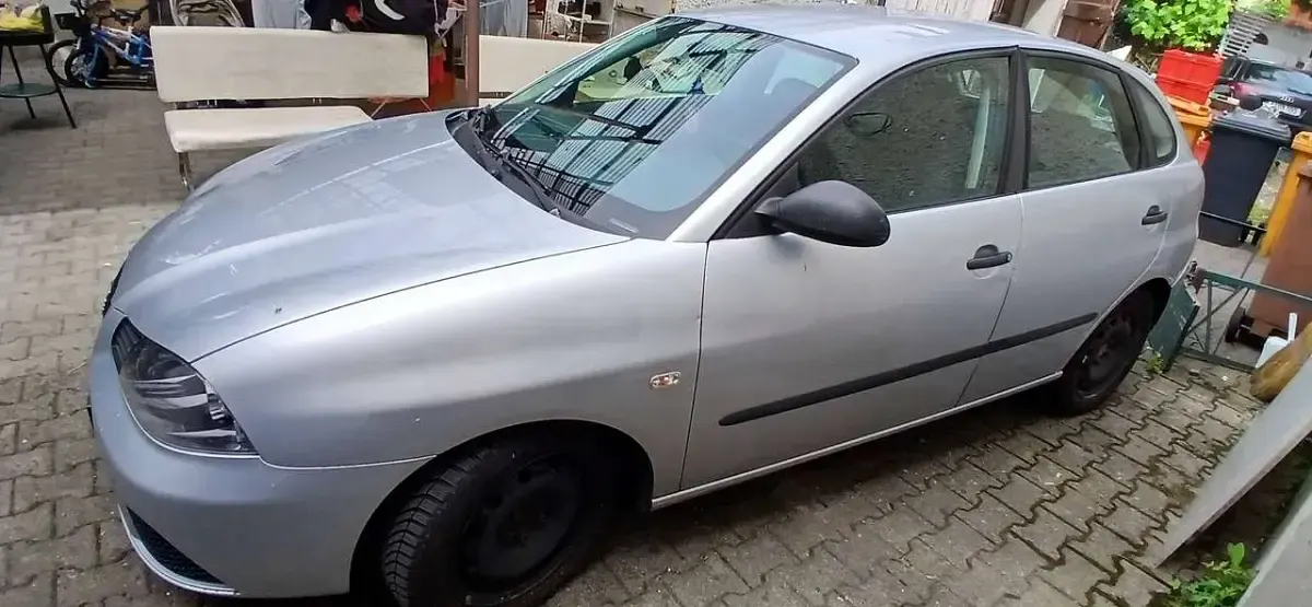 Gebraucht Seat Ibiza Reference 75 PS (55 kW) 2009 Silber Kleinwagen