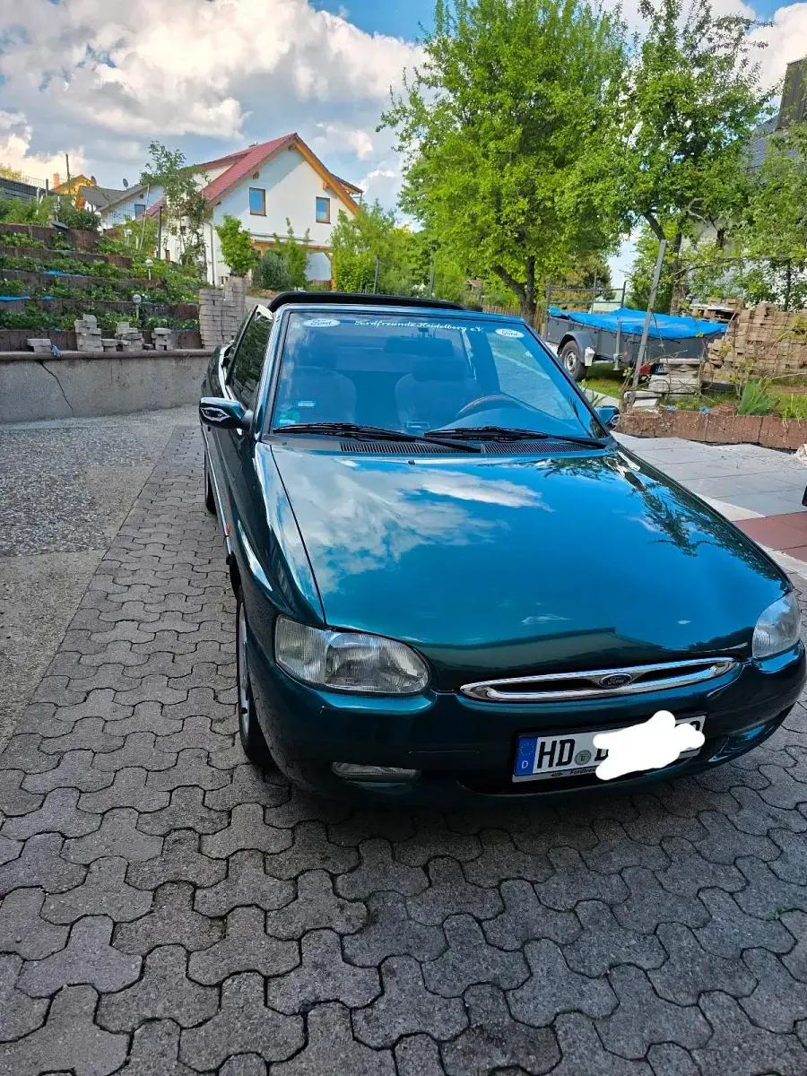 Gebraucht Ford Escort Cabriolet 90 PS (66 kW) 1997 Grün Cabrio