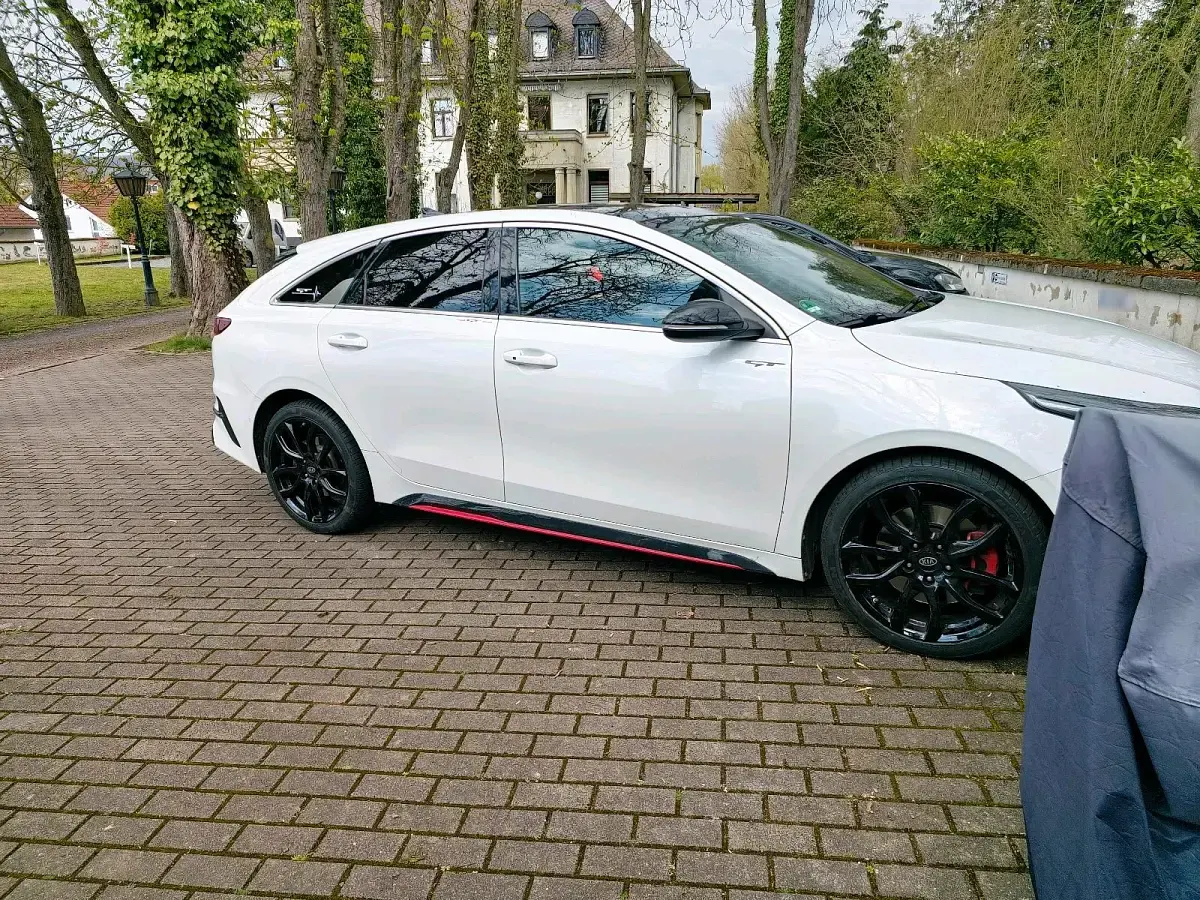 Gebraucht Kia ProCeed GT GT 204 PS (150 kW) 2020 Weiß Kleinwagen