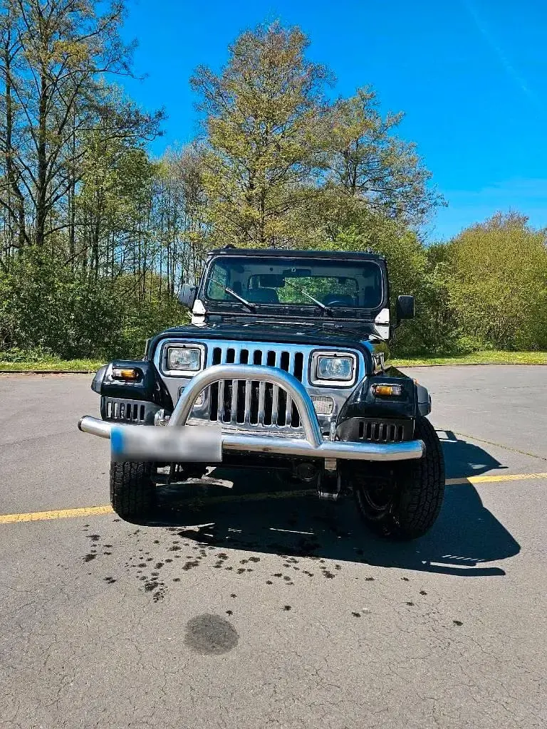 Gebraucht Jeep Wrangler 185 PS (136 kW) 1994 Schwarz SUV
