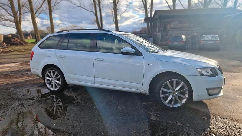 Gebraucht Skoda Octavia 110 PS (80 kW) 2017 Weiß Limousine