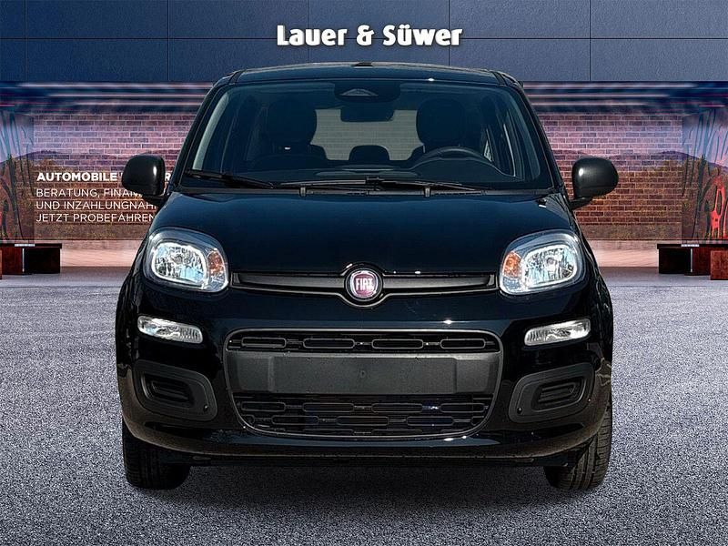 Neu Fiat Panda Icon 65 PS (47 kW) 2026 Schwarz Kleinwagen