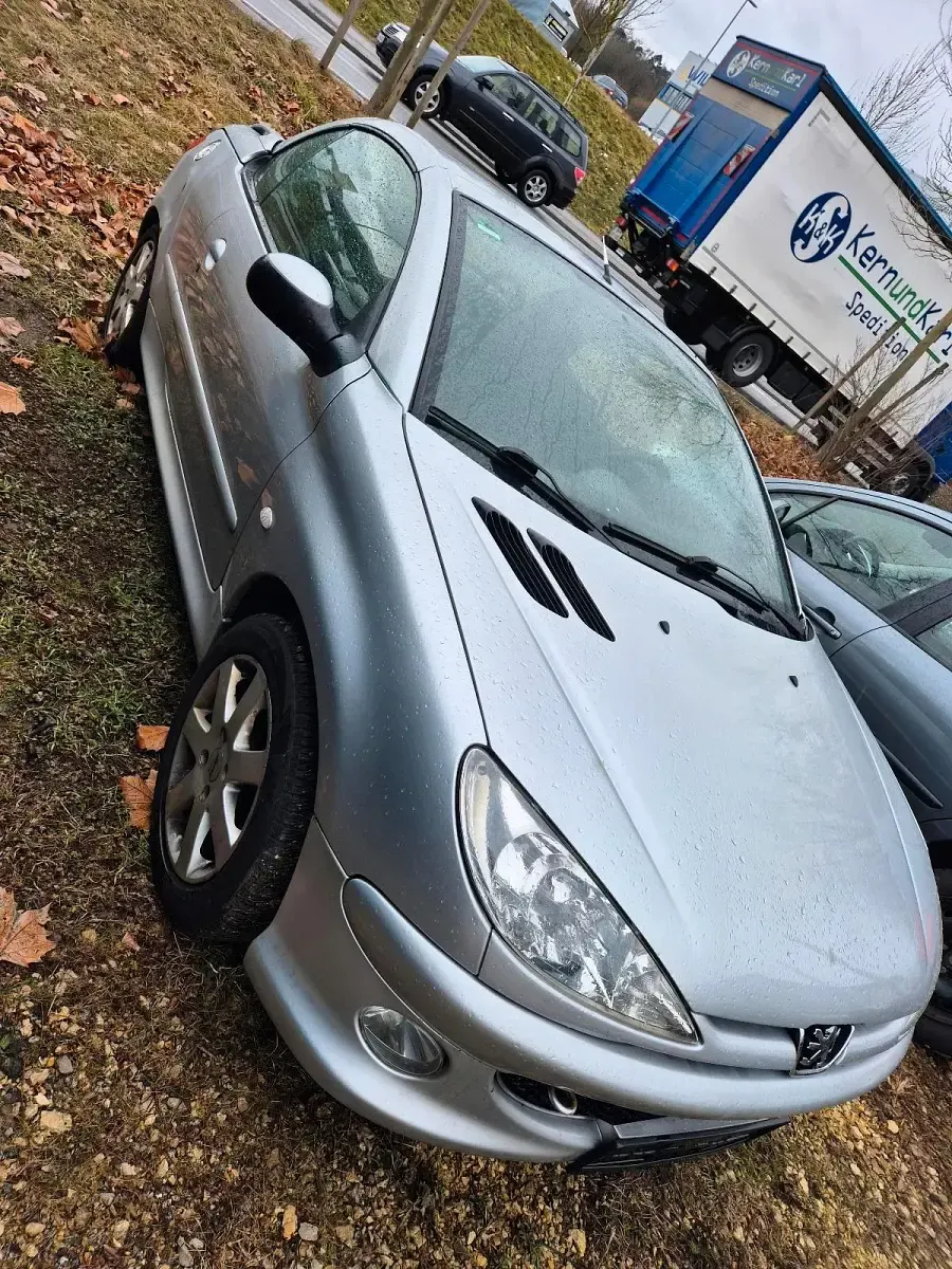 Gebraucht Peugeot 206 121 PS (88 kW) 2004 Grau Cabrio