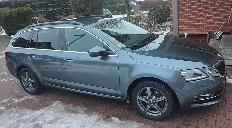 Gebraucht Skoda Octavia G-TEC Style 110 PS (80 kW) 2018 Grau Kombi