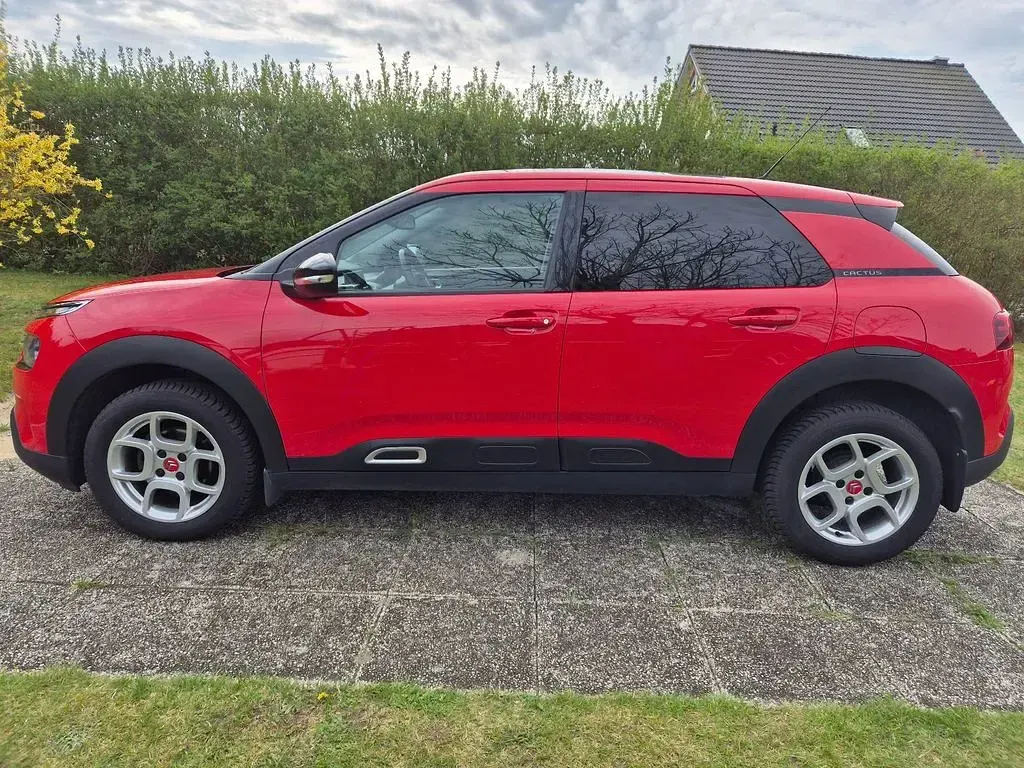 Gebraucht Citroën C4 Cactus Shine 102 PS (75 kW) 2019 Rot Kleinwagen