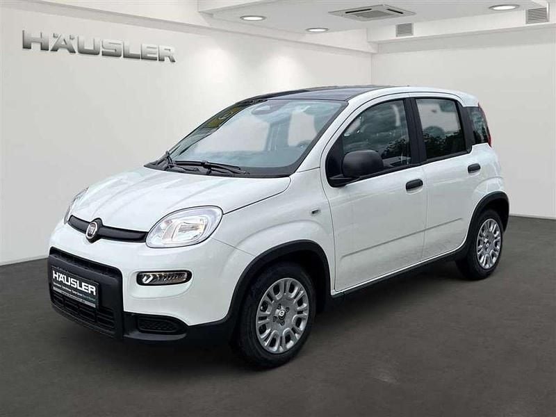 Gelato weiß Neu 2024 Fiat Panda Kleinwagen | 14.990 € (Fairer Preis) - Bild 1/4