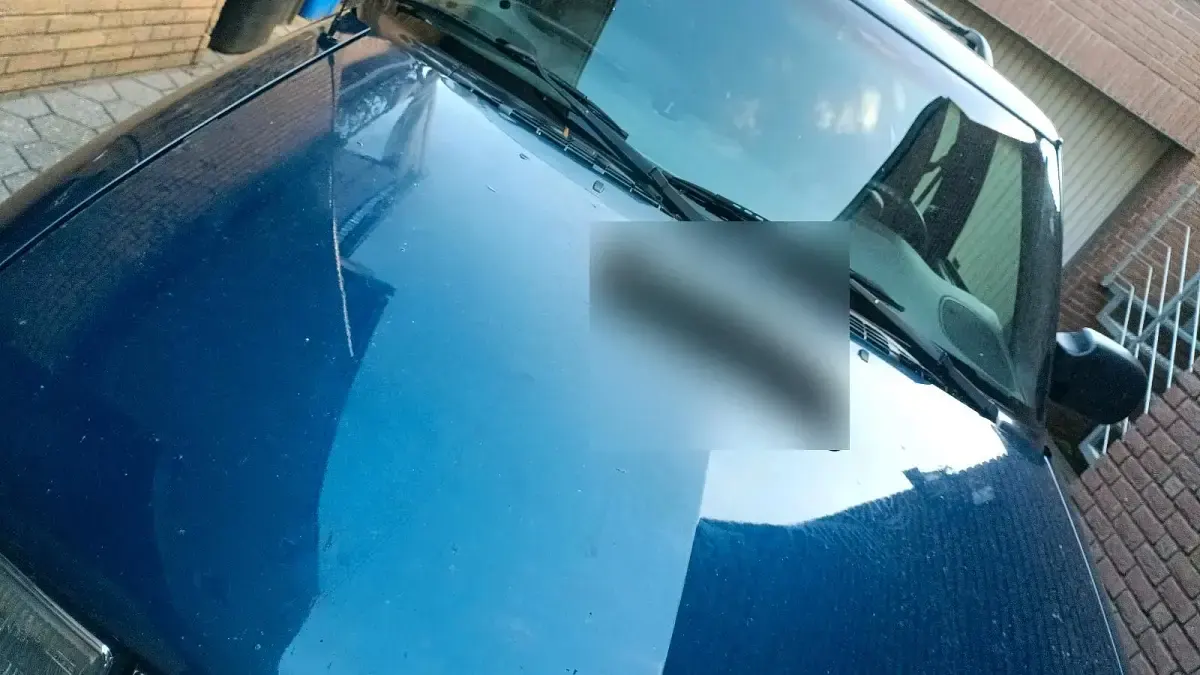 Gebraucht Chevrolet Blazer 195 PS (143 kW) 2001 Blau SUV