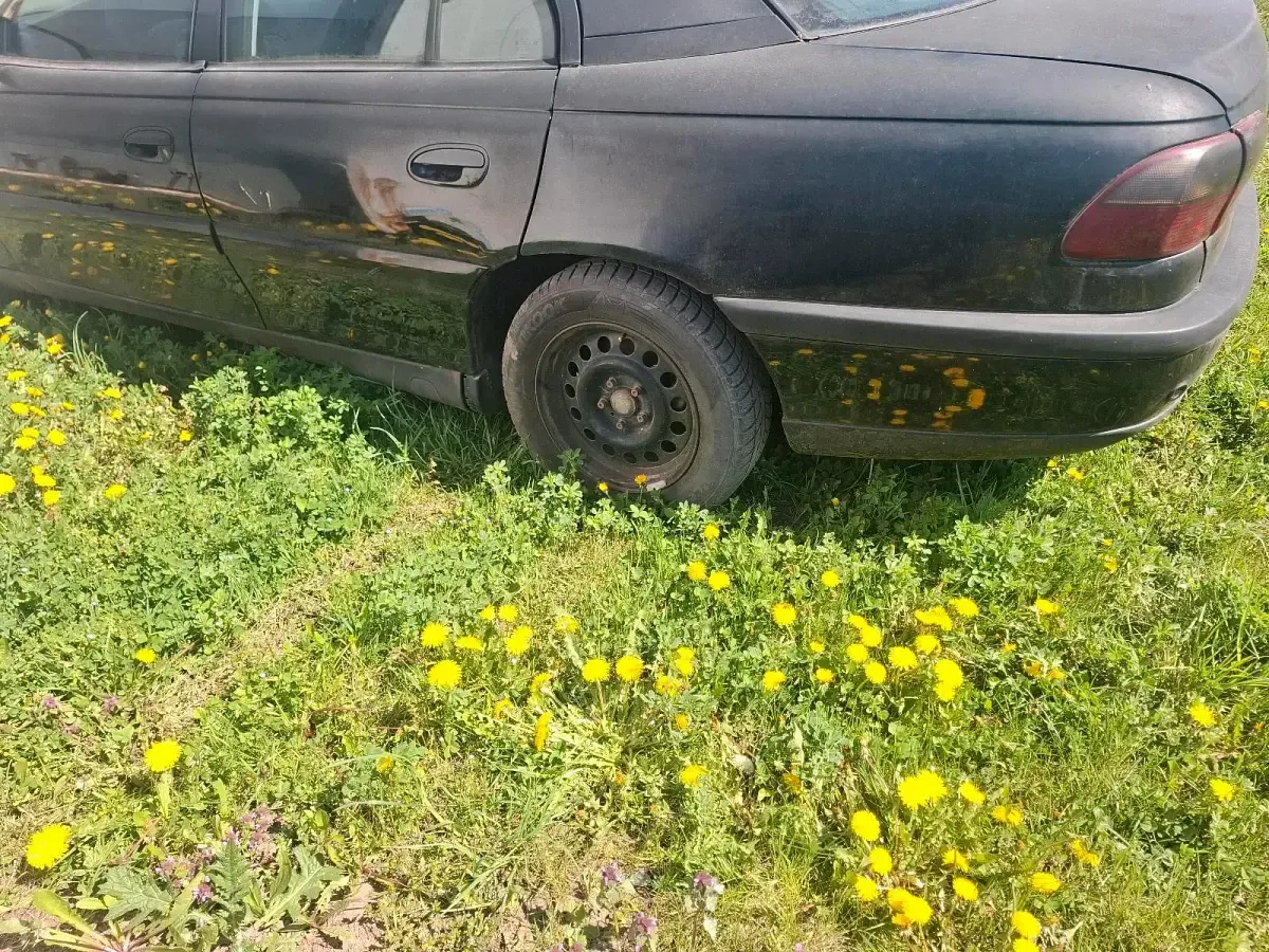 Gebraucht Opel Omega 170 PS (125 kW) 1997 Schwarz Limousine