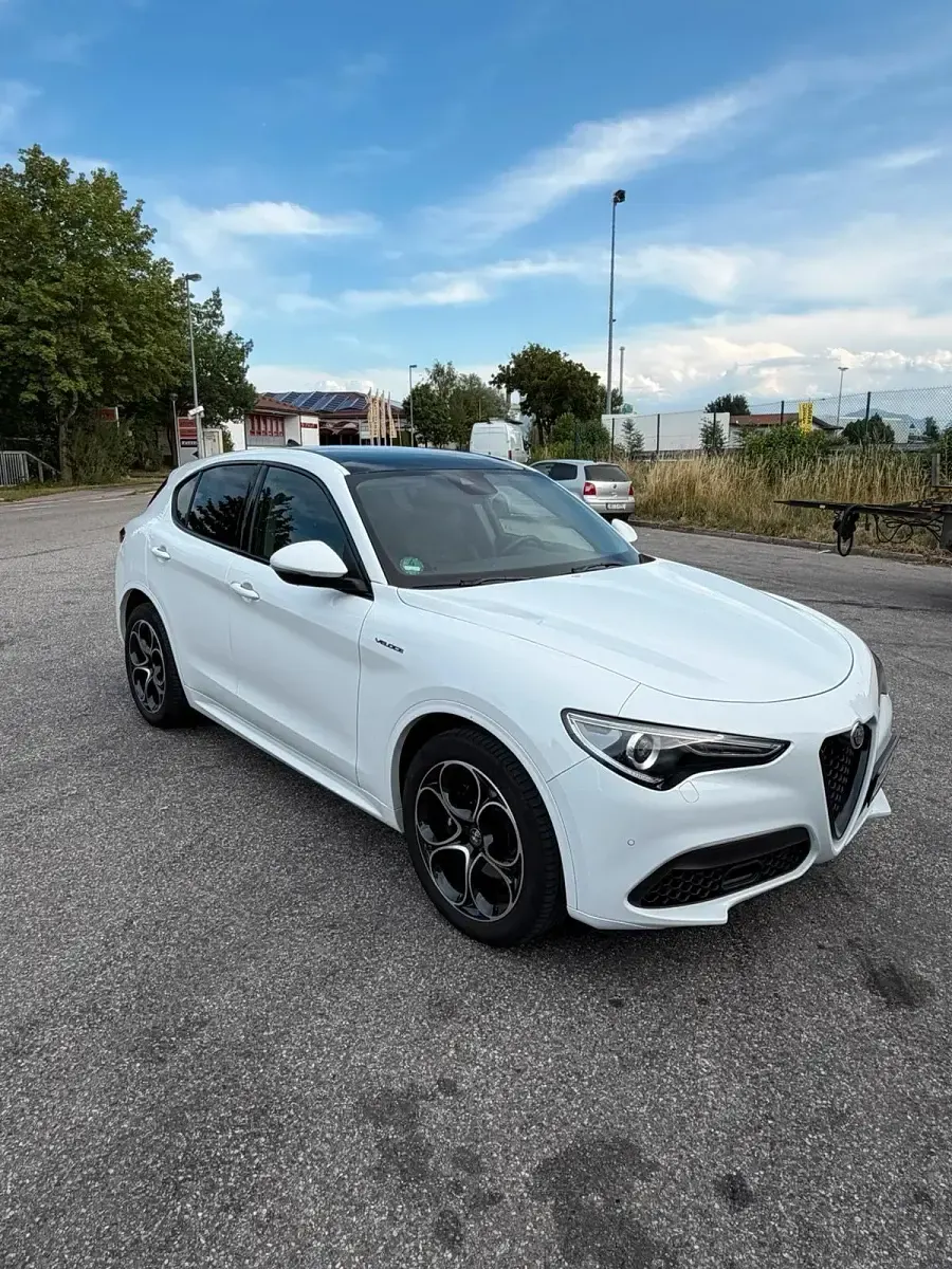 Gebraucht Alfa Romeo Stelvio Veloce 209 PS (153 kW) 2020 Weiß SUV