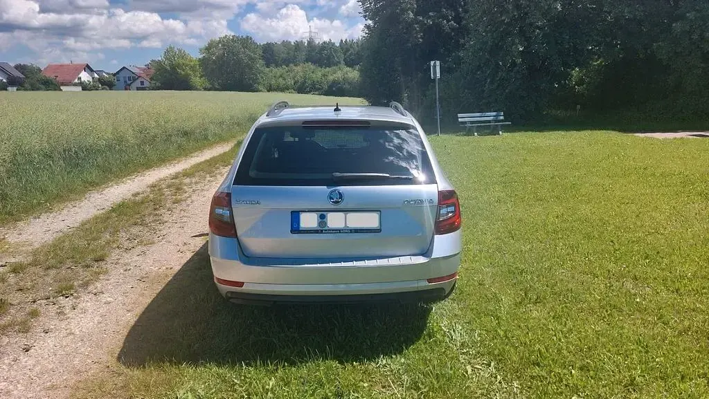 Gebraucht Skoda Octavia Drive 150 PS (110 kW) 2017 Silber Kombi