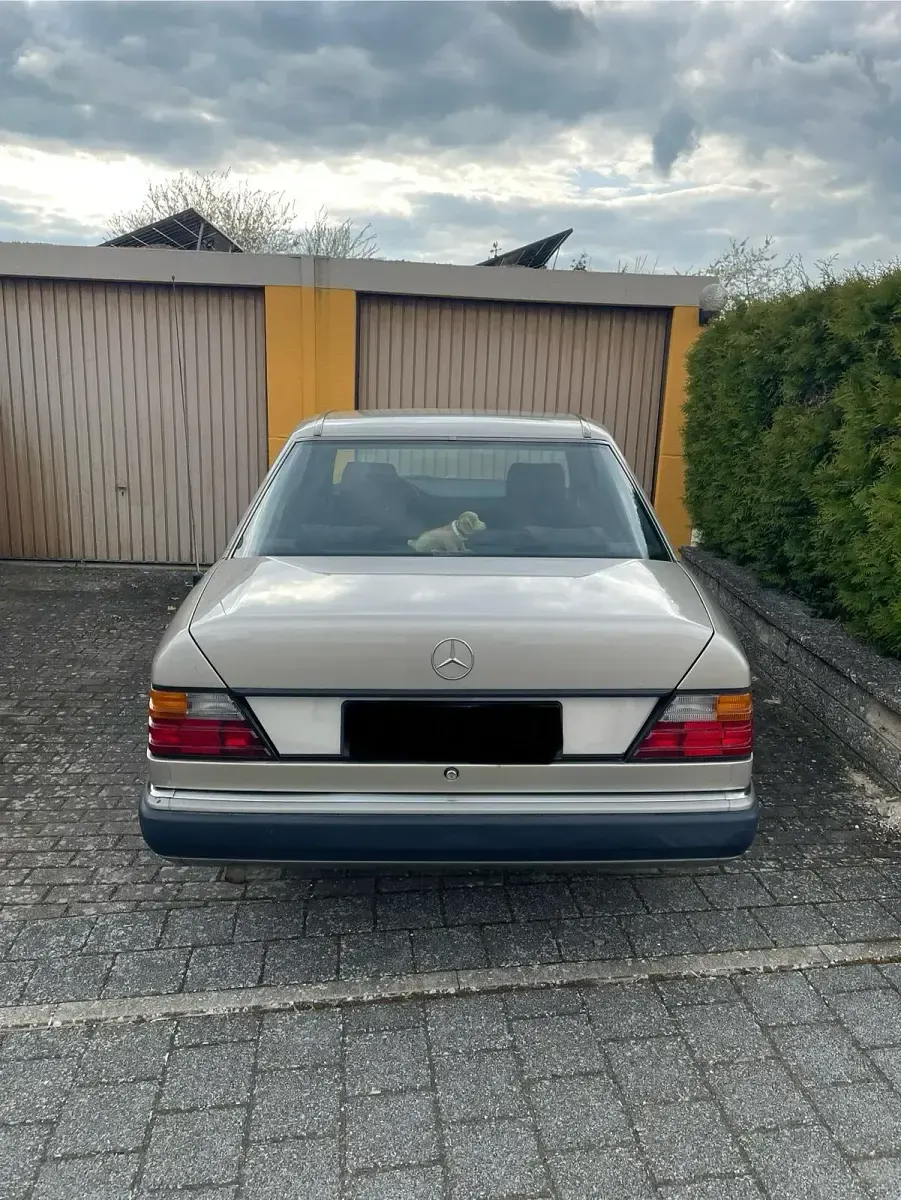 Second-hand Mercedes E250 90 CP (66 kW) 1992 Berlinǎ