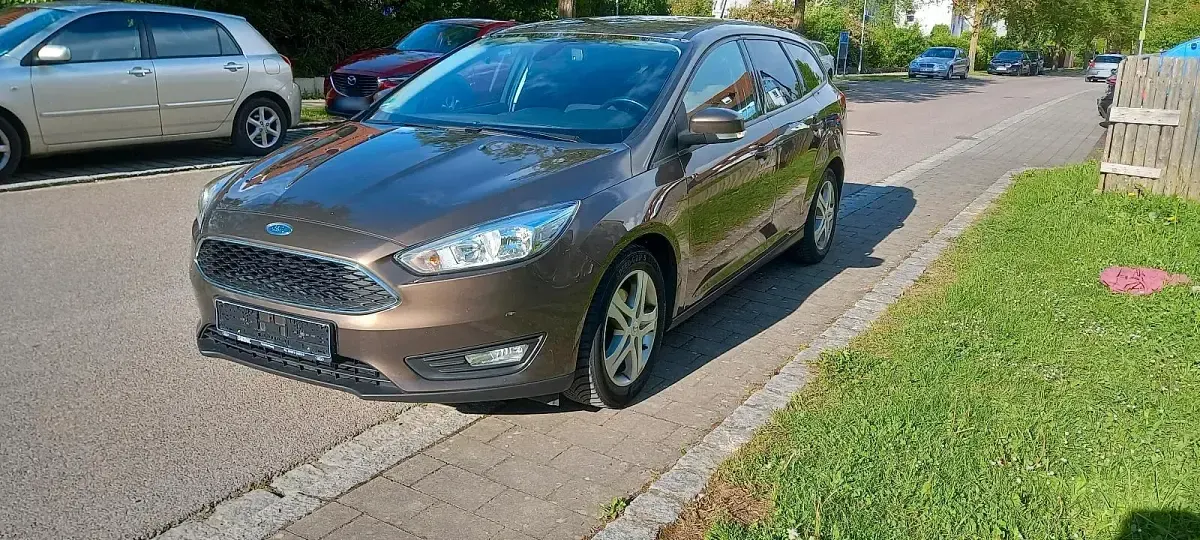 Usado Ford Focus 125 CV (91 kW) 2017 Marrón Familiar
