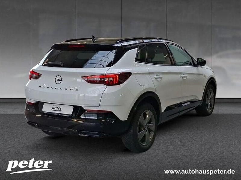 Gebraucht Opel Grandland X 131 PS (96 kW) 2023 Jade weiß SUV