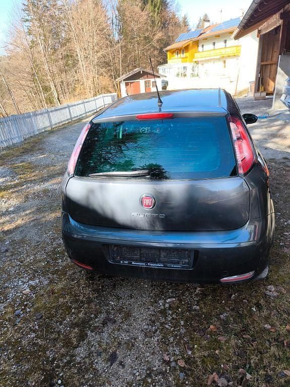 Gebraucht Fiat Punto Young 69 PS (50 kW) 2015 Schwarz Kleinwagen