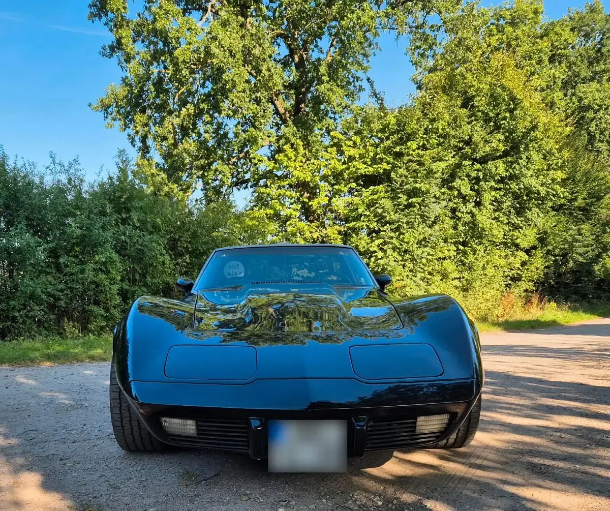 Gebraucht Corvette Stingray 165 PS (121 kW) 1976 Schwarz