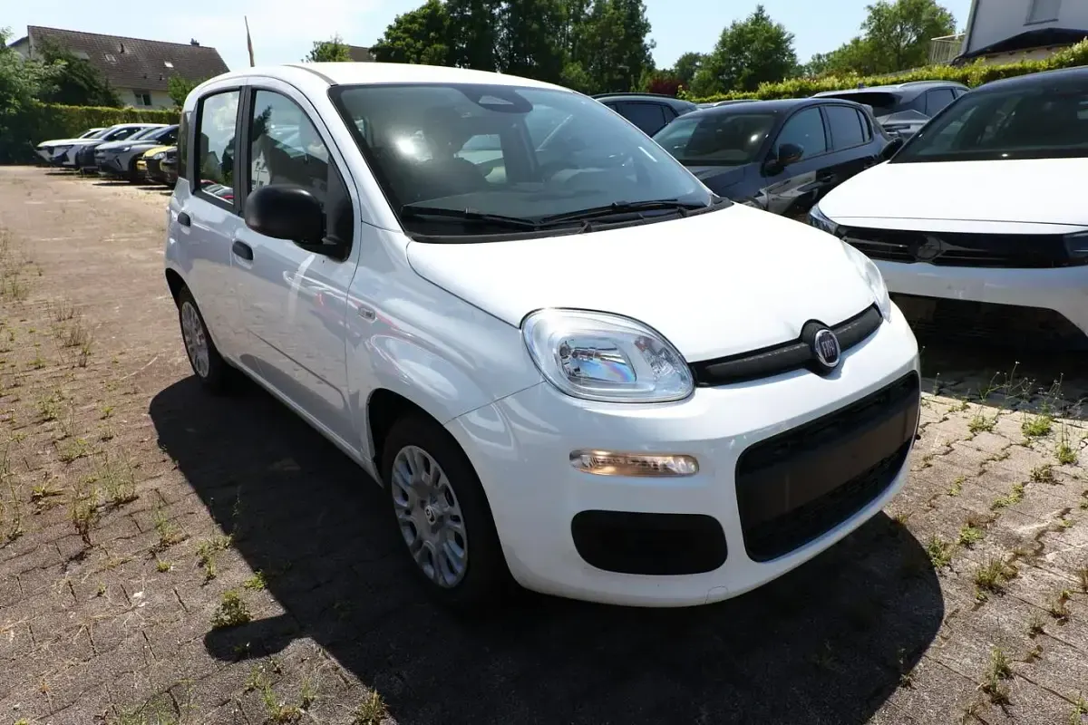 Neu Fiat Panda Icon 65 PS (47 kW) 2026 Gelato weiß Kleinwagen