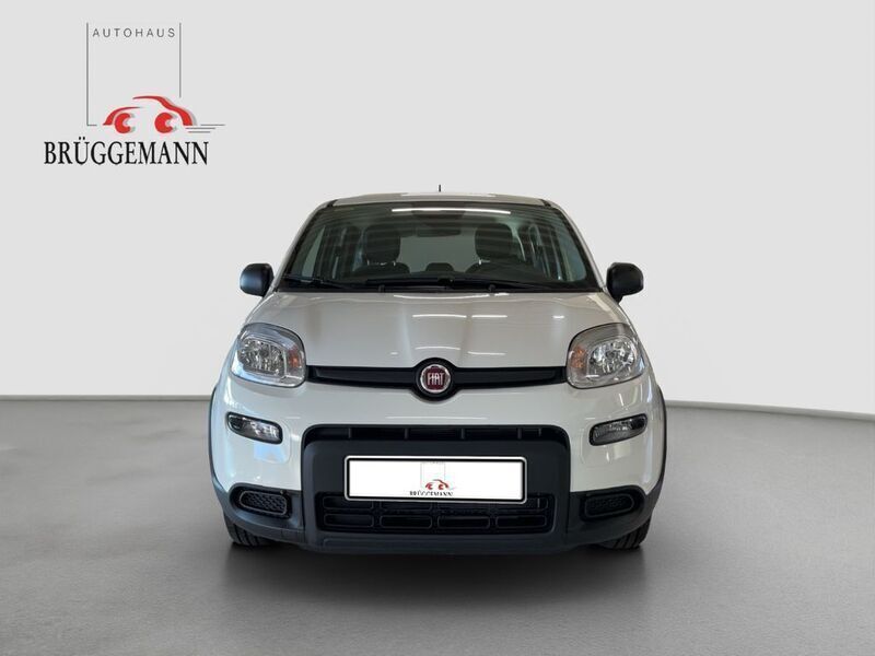 Gebraucht Fiat Panda 69 PS (50 kW) 2025 Weiß Kleinwagen