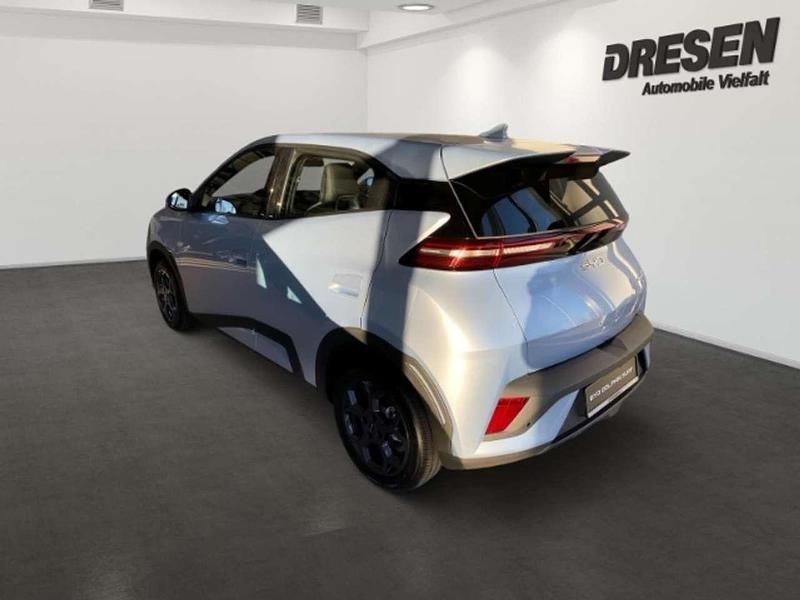 Neu BYD Dolphin Boost 64 kW (88 PS) 2026 Ice blue Kleinwagen