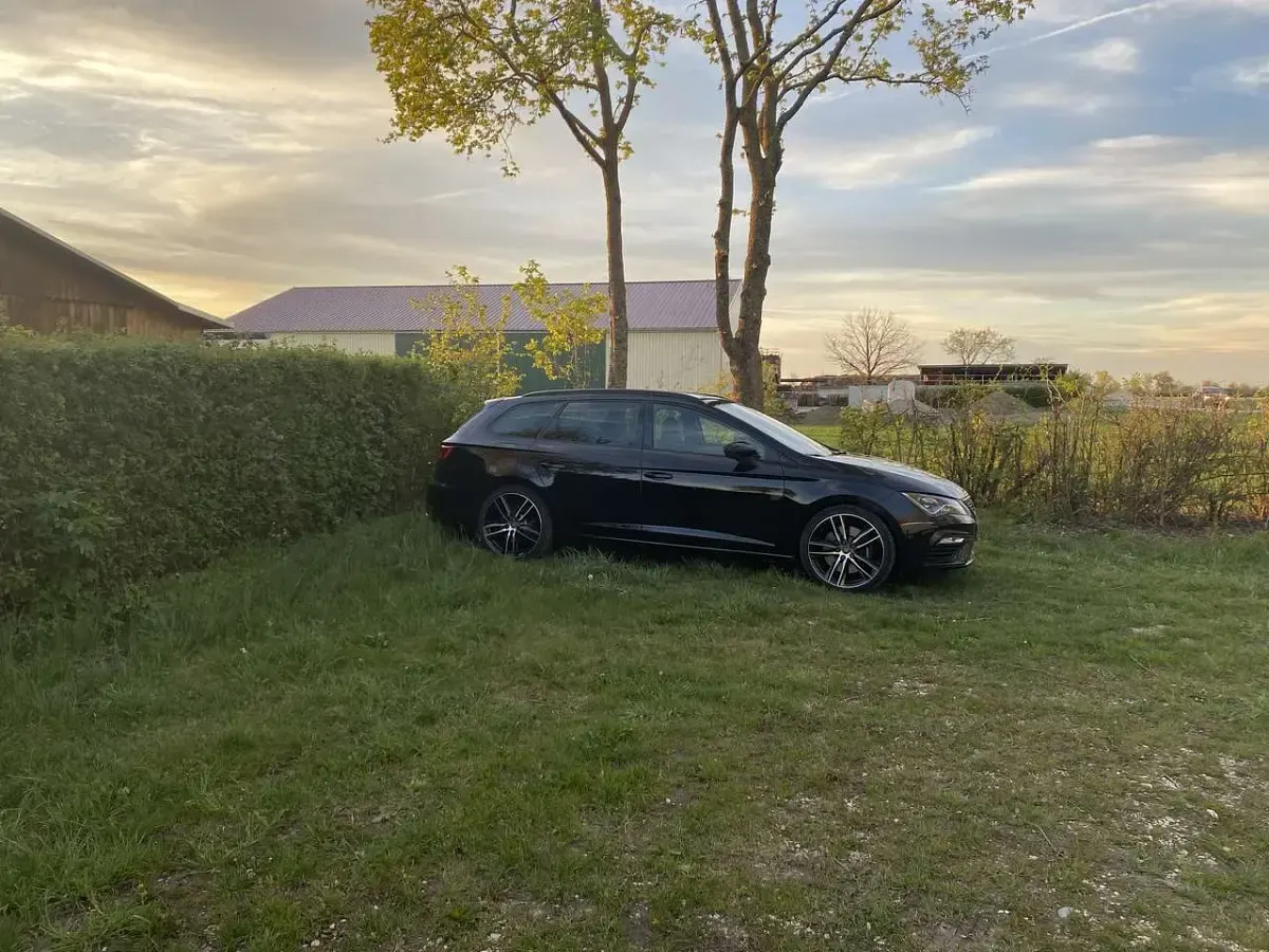 Gebraucht Seat Leon CUPRA 300 PS (220 kW) 2019 Limousine