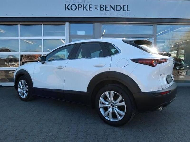 Gebraucht Mazda CX-30 Selection 186 PS (136 kW) 2021 Snowflake white metallic (metallic) SUV