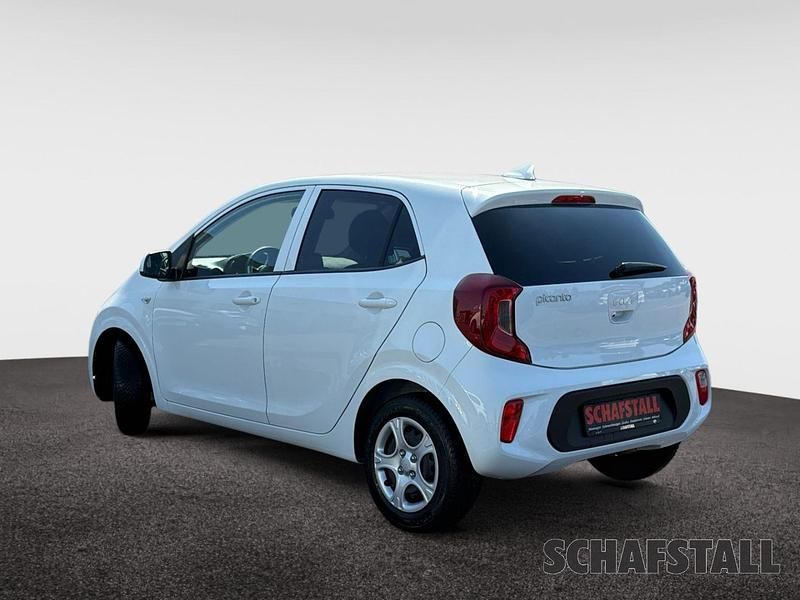 Gebraucht Kia Picanto Vision 67 PS (49 kW) 2024 Weiss ((ud) schneeweiss) Kleinwagen