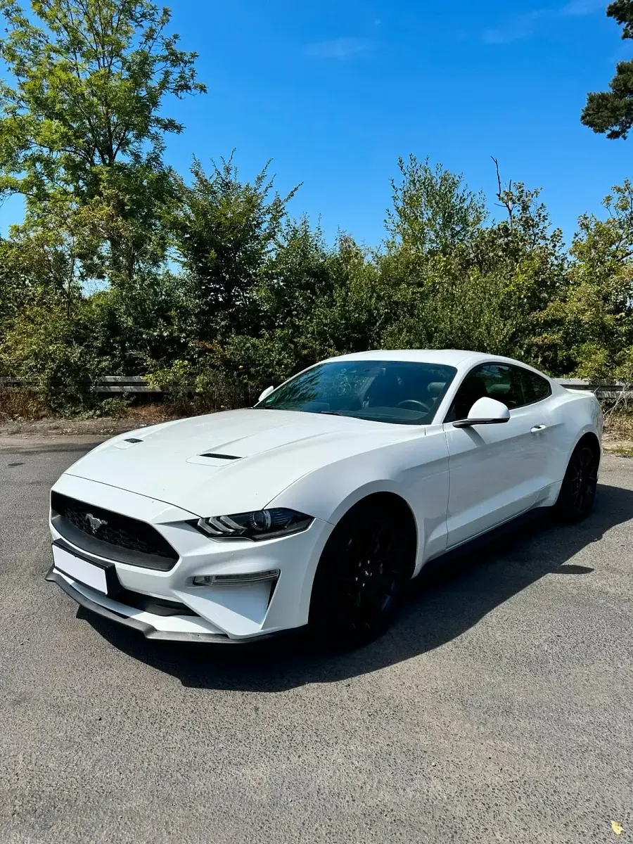 Gebraucht Ford Mustang GT Fastback 290 PS (213 kW) 2018 Weiß Coupé