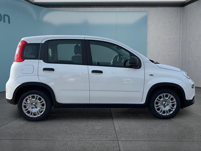 Neu Fiat Panda 69 PS (50 kW) 2025 Weiß Kleinwagen