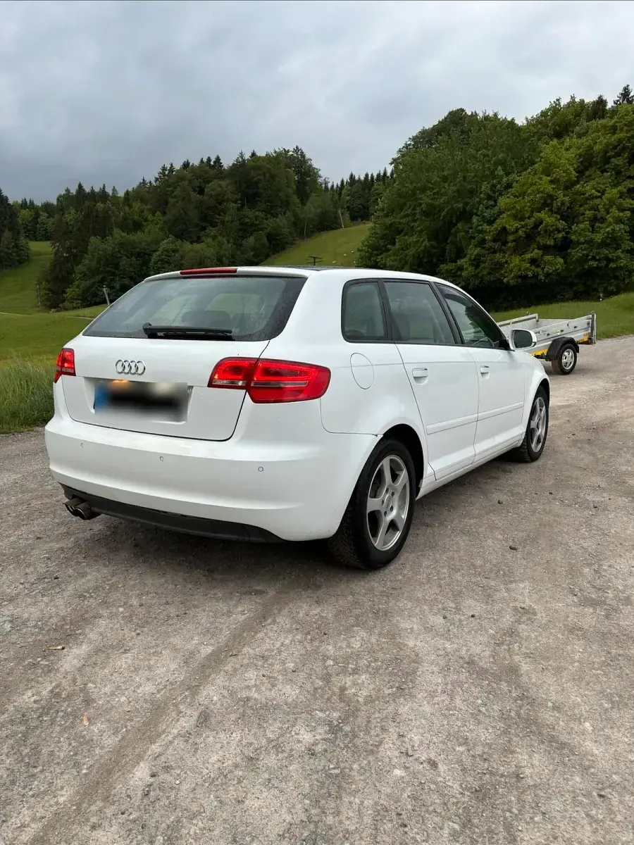 Second-hand Audi A3 Design 140 CP (102 kW) 2010 Alb Hatchback
