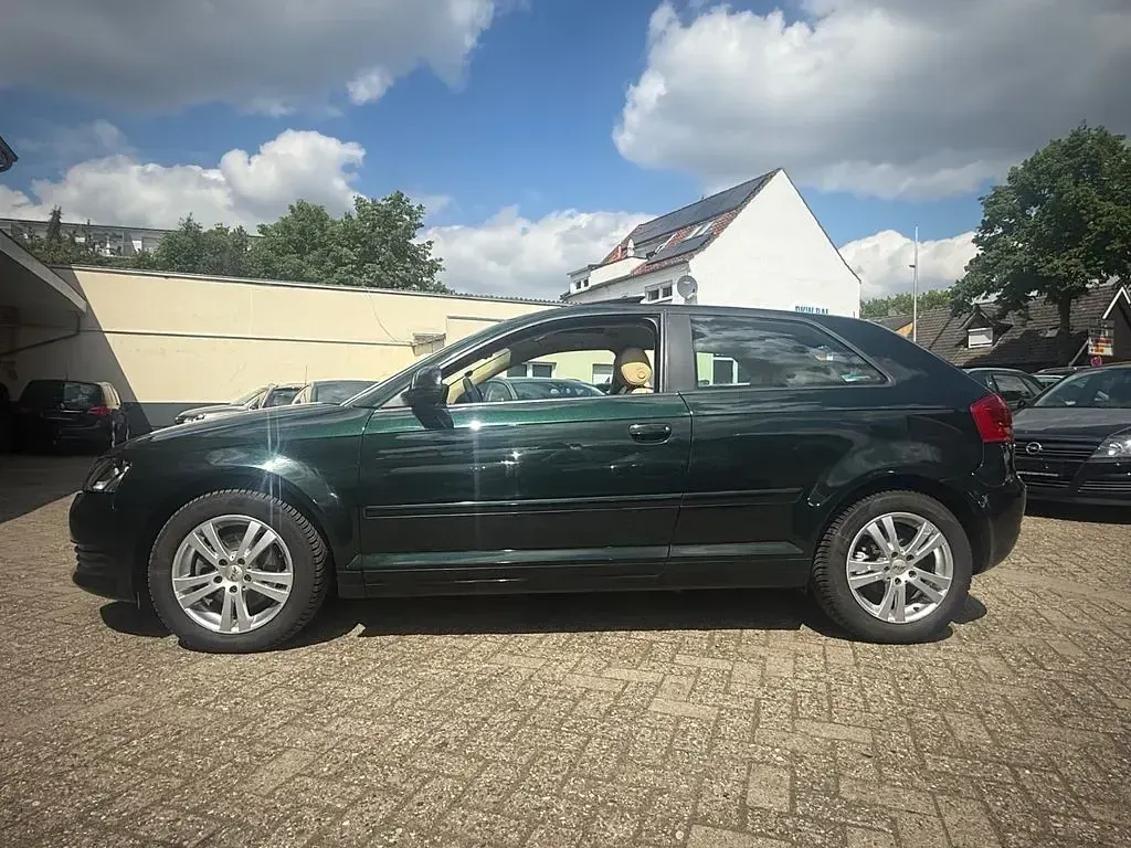 Gebraucht Audi A3 Ambiente 160 PS (117 kW) 2009 Grün Kleinwagen