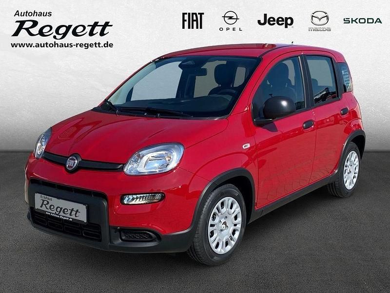 Gebraucht Fiat Panda 69 PS (50 kW) 2024 Weiss) (weiss Kleinwagen