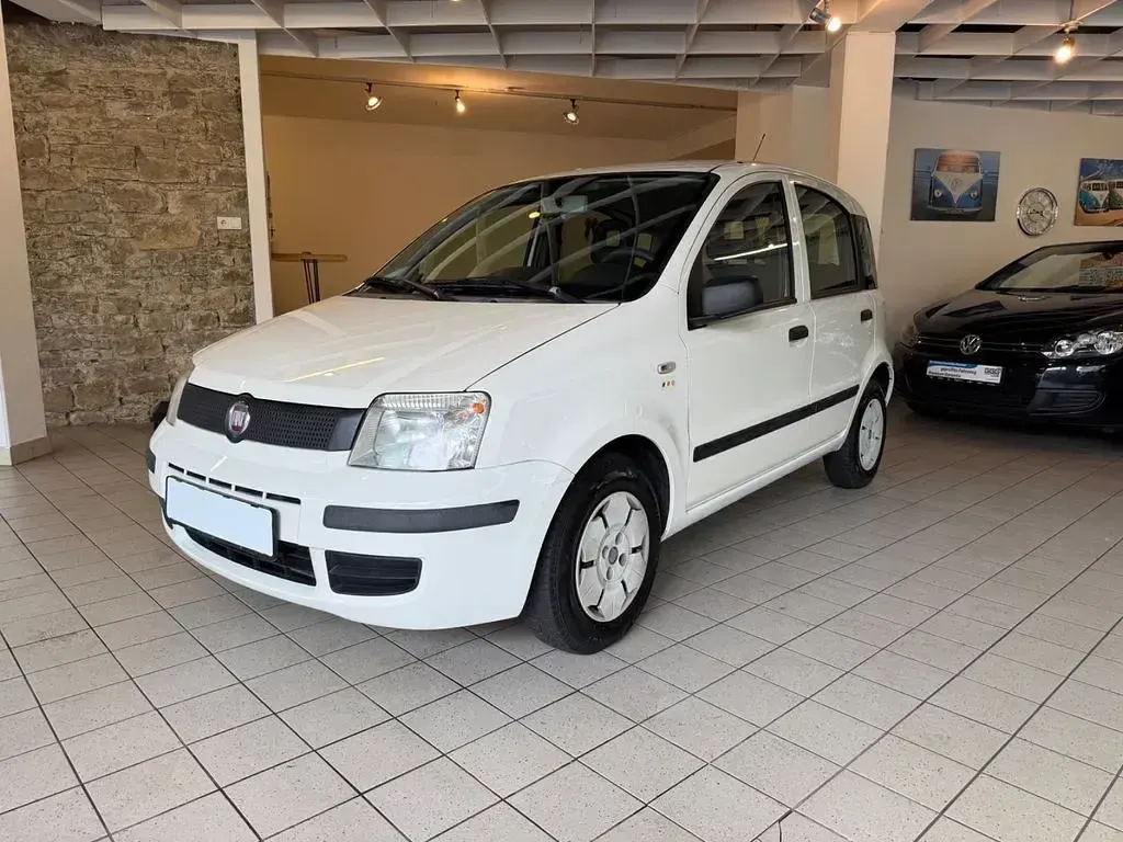 Gebraucht Fiat Panda Active 54 PS (39 kW) 2009 Weiß Kleinwagen